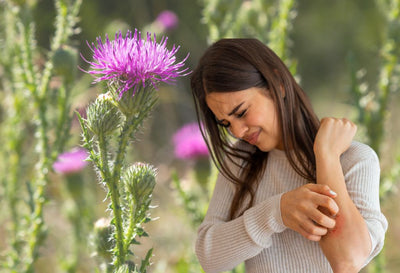 milk thistle for eczema