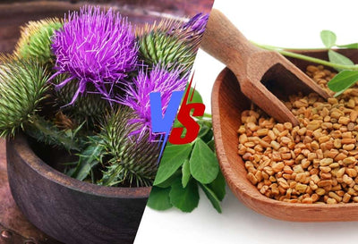 milk thistle vs fenugreek