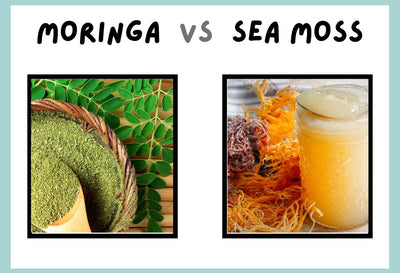 Moringa Vs Sea Moss: Which Is Better Sea Moss Or Moringa?