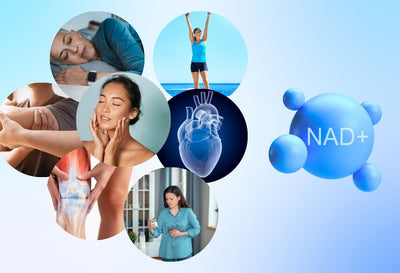 11 NAD+ Supplement Benefits and Side Effects for Health