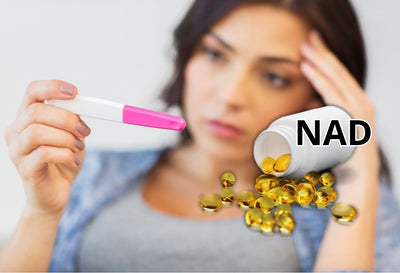 Does NAD Supplement Help with Fertility?