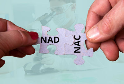 NAD vs NAC: Differences & How to Take Them Together?