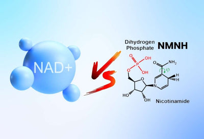 nad vs nmnh