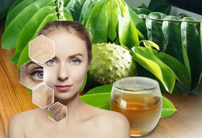 What Are The Soursop Benefits For Skin?