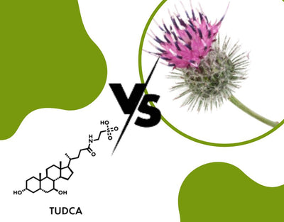 Tudca Vs. Milk Thistle: Can You Take Them Together?