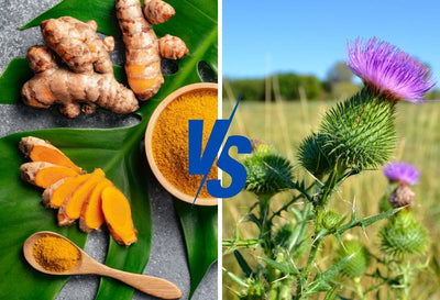 turmeric vs milk thistle