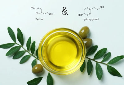 tyrosol and hydroxytyrosol