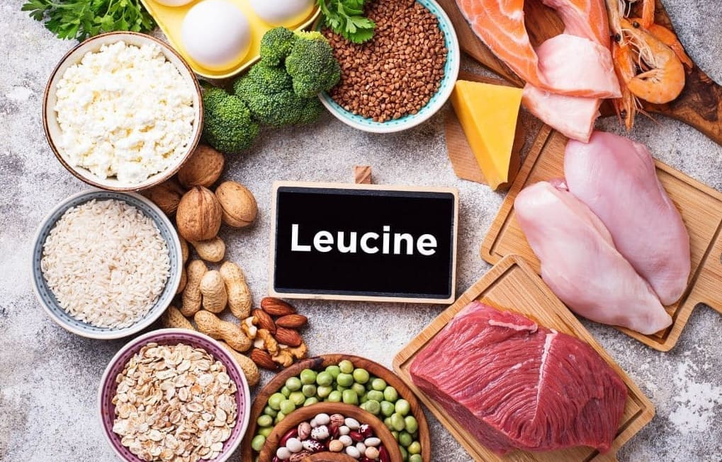 What Foods Are High In Leucine? 15 Natural HMB Sources – Vinatura ...