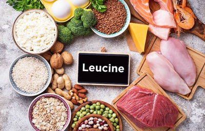 what foods are high in leucine